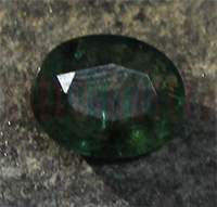No Image Found
